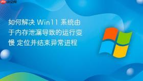 如何解决 win11 系统由于内存泄漏导致的运行变慢 定位并结束异常进程