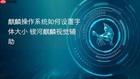 麒麟操作系统如何设置字体大小 银河麒麟视觉辅助