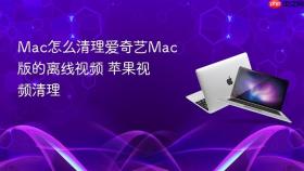 mac怎么清理爱奇艺mac版的离线视频 苹果视频清理