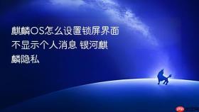 麒麟OS怎么设置锁屏界面不显示个人消息 银河麒麟隐私