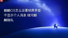 麒麟os怎么设置锁屏界面不显示个人消息 银河麒麟隐私