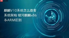 麒麟V10系统怎么查看系统架构 银河麒麟x86与ARM区别