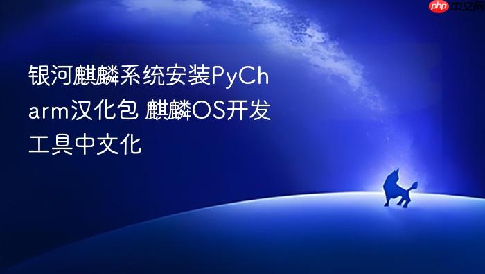 银河麒麟系统安装pycharm汉化包 麒麟os开发工具中文化
