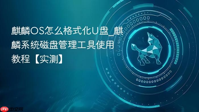 麒麟os怎么格式化u盘_麒麟系统磁盘管理工具使用教程【实测】