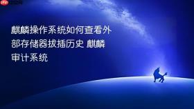 麒麟操作系统如何查看外部存储器拔插历史 麒麟审计系统