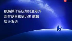 麒麟操作系统如何查看外部存储器拔插历史 麒麟审计系统