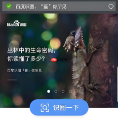 百度识图怎么识别食物热量 百度识图识物算热量方法【教程】