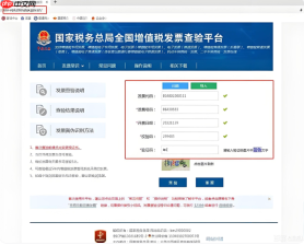 实时在线发票信息查验 国家税务服务平台入口