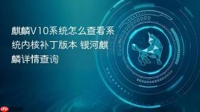 麒麟v10系统怎么查看系统内核补丁版本 银河麒麟详情查询