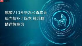 麒麟V10系统怎么查看系统内核补丁版本 银河麒麟详情查询