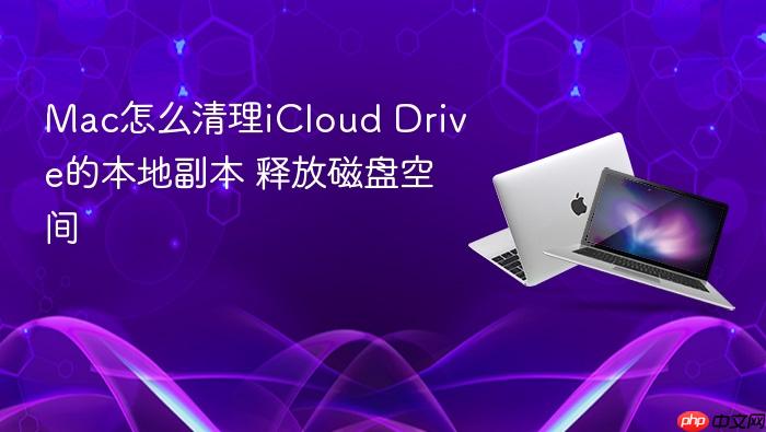 mac怎么清理icloud drive的本地副本 释放磁盘空间
