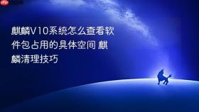 麒麟v10系统怎么查看软件包占用的具体空间 麒麟清理技巧