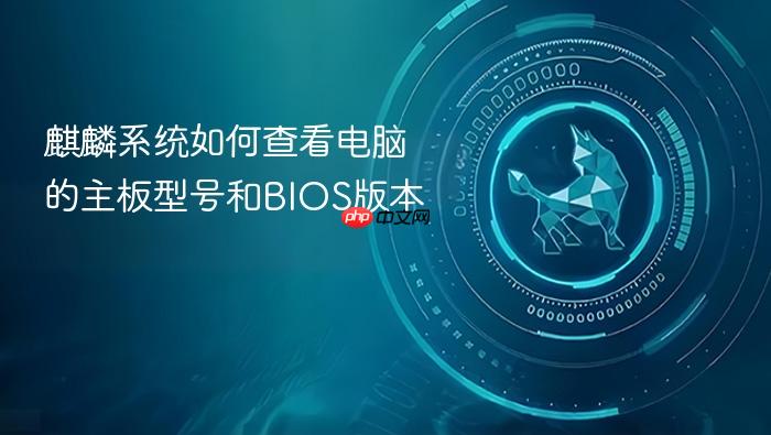 麒麟系统如何查看电脑的主板型号和bios版本