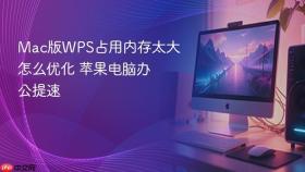 mac版wps占用内存太大怎么优化 苹果电脑办公提速