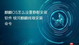 麒麟os怎么设置静默安装软件 银河麒麟终端安装命令