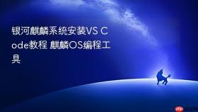 银河麒麟系统安装VS Code教程 麒麟OS编程工具