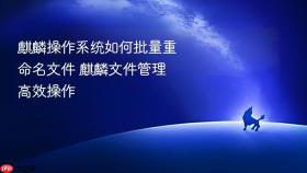 麒麟操作系统如何批量重命名文件 麒麟文件管理高效操作