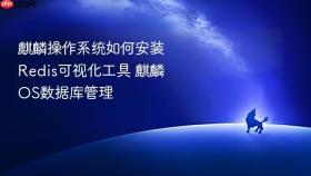麒麟操作系统如何安装Redis可视化工具 麒麟OS数据库管理