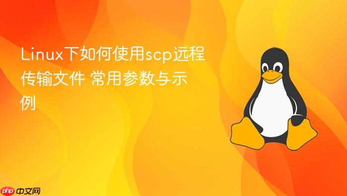 linux下如何使用scp远程传输文件 常用参数与示例