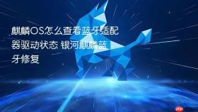 麒麟OS怎么查看蓝牙适配器驱动状态 银河麒麟蓝牙修复