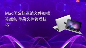 mac怎么快速给文件加标签颜色 苹果文件管理技巧