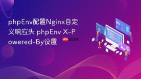 phpenv配置nginx自定义响应头 phpenv x-powered-by设置