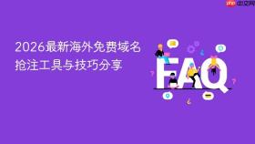2026最新海外免费域名抢注工具与技巧分享