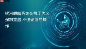 银河麒麟系统死机了怎么强制重启 不伤硬盘的操作