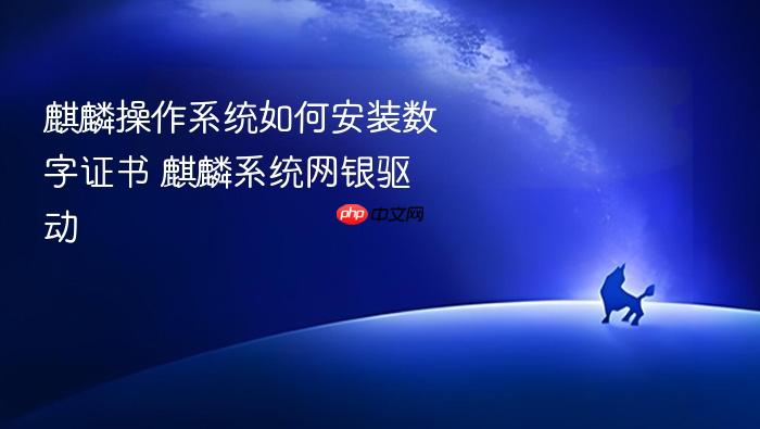 麒麟操作系统如何安装数字证书 麒麟系统网银驱动
