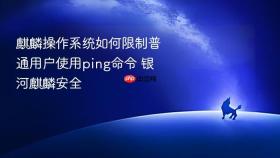 麒麟操作系统如何限制普通用户使用ping命令 银河麒麟安全