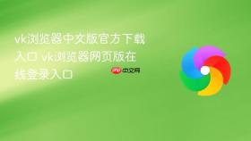 vk浏览器中文版官方下载入口 vk浏览器网页版在线登录入口