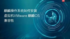 麒麟操作系统如何安装虚拟机VMware 麒麟OS兼容性