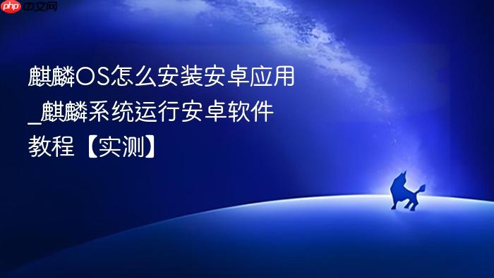 麒麟os怎么安装安卓应用_麒麟系统运行安卓软件教程【实测】
