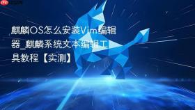 麒麟OS怎么安装Vim编辑器_麒麟系统文本编辑工具教程【实测】