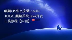 麒麟os怎么安装intellij idea_麒麟系统java开发工具教程【实测】