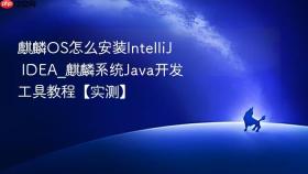麒麟OS怎么安装IntelliJ IDEA_麒麟系统Java开发工具教程【实测】