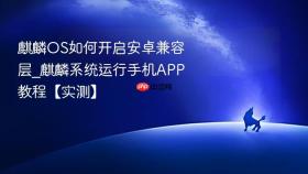麒麟OS如何开启安卓兼容层_麒麟系统运行手机APP教程【实测】