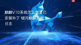 麒麟v10系统怎么查看已安装补丁 银河麒麟更新日志