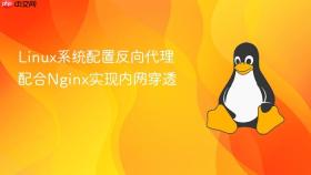linux系统配置反向代理 配合nginx实现内网穿透