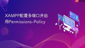 xampp配置多端口并启用permissions-policy