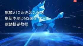麒麟V10系统怎么强制刷新本地DNS缓存 银河麒麟排错教程