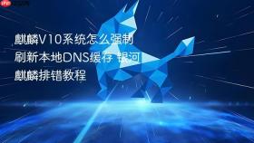 麒麟v10系统怎么强制刷新本地dns缓存 银河麒麟排错教程