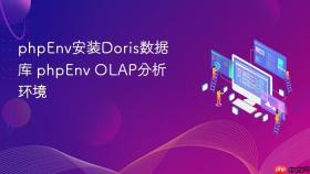 phpenv安装doris数据库 phpenv olap分析环境