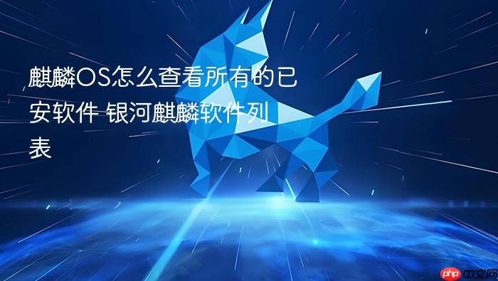 麒麟os怎么查看所有的已安软件 银河麒麟软件列表