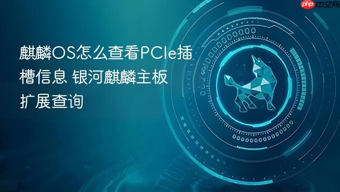 麒麟os怎么查看pcie插槽信息 银河麒麟主板扩展查询