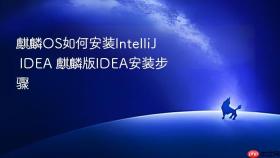 麒麟os如何安装intellij idea 麒麟版idea安装步骤