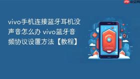 vivo手机连接蓝牙耳机没声音怎么办 vivo蓝牙音频协议设置方法【教程】