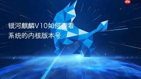 银河麒麟v10如何查看系统的内核版本号