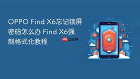 oppo find x6忘记锁屏密码怎么办 find x6强制格式化教程