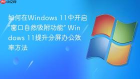如何在windows 11中开启“窗口自然吸附功能” windows 11提升分屏办公效率方法